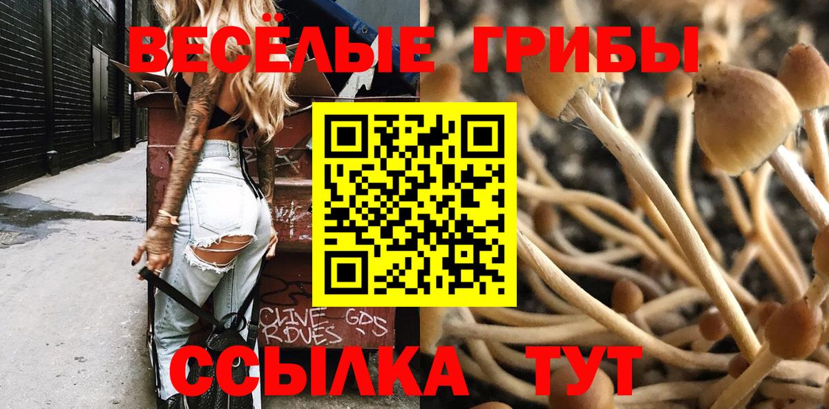 Галлюциногенные грибы мицелий Миллерово