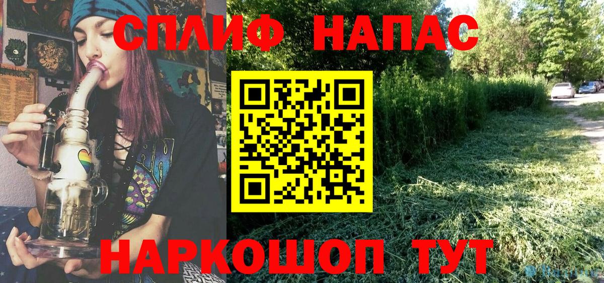 Марихуана сатива Миллерово